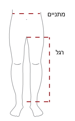 כיצד למדוד מכנסי נשים Rab